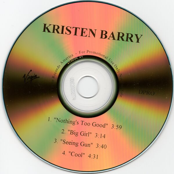 File:Man of the Year promo CD disc.jpg